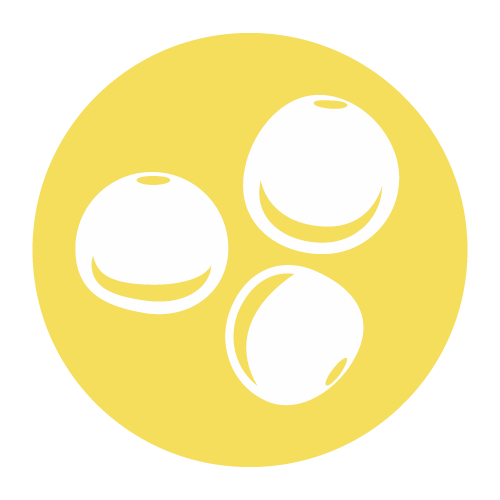 Altramuces