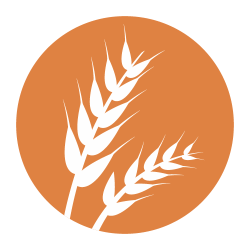 Gluten